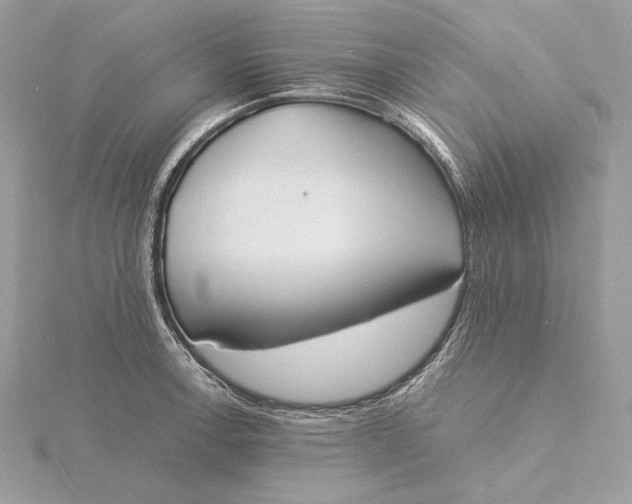 X0000115841138200912041703