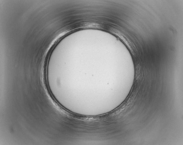 X0000115841139200912041703