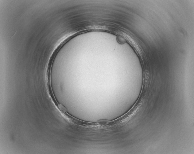 X0000115841141200912041703