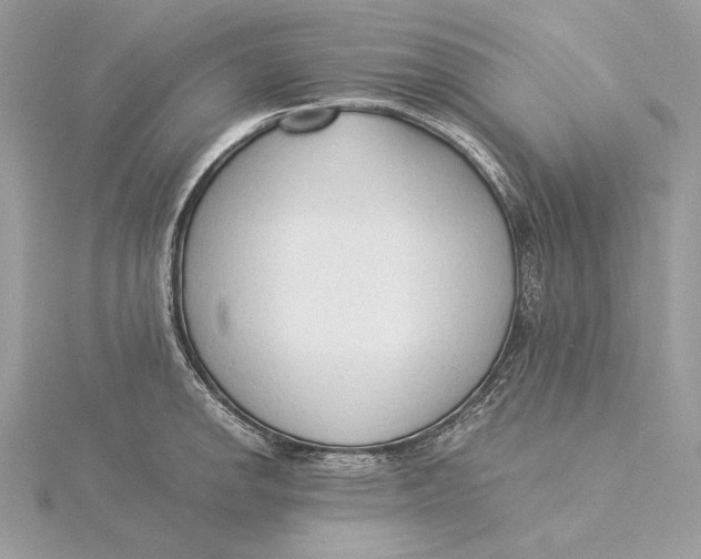 X0000115841142200912041703