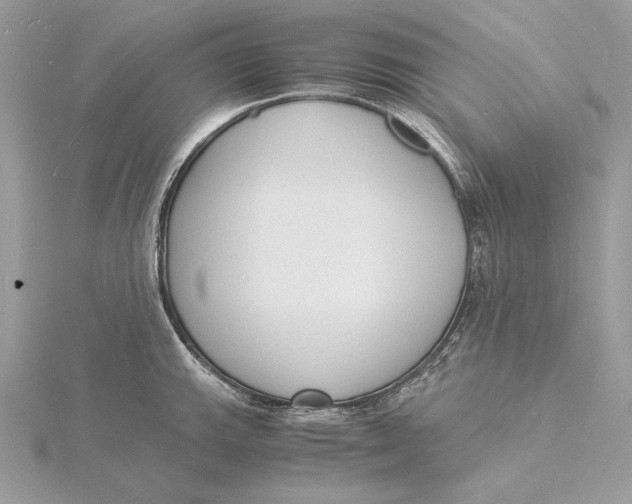 X0000115841143200912041703