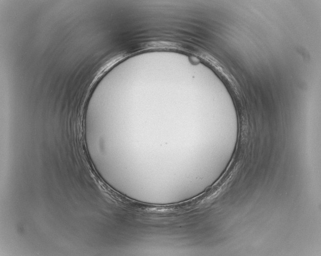 X0000115841145200912041703