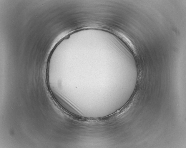 X0000115841146200912041703