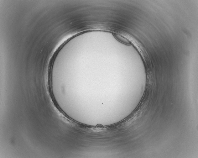 X0000115841147200912041703