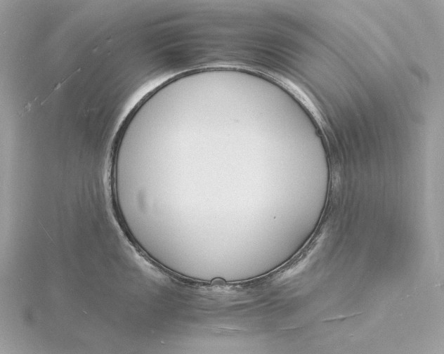 X0000115841149200912041703