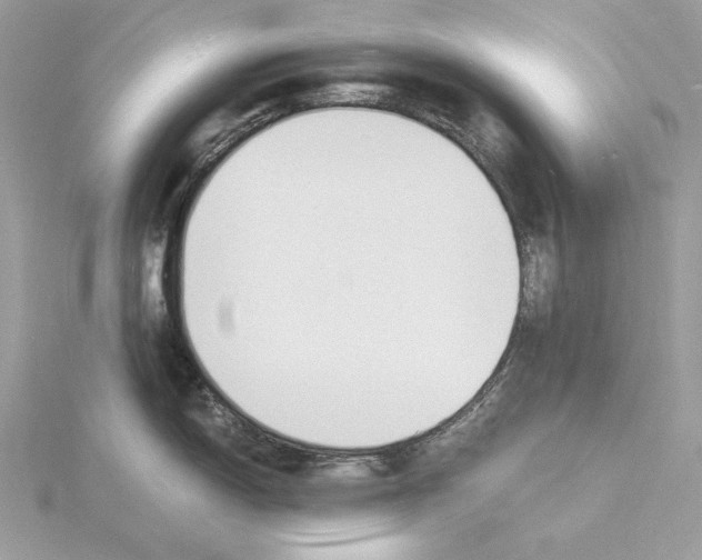 X0000115841150200912041703