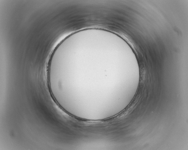 X0000115841151200912041703