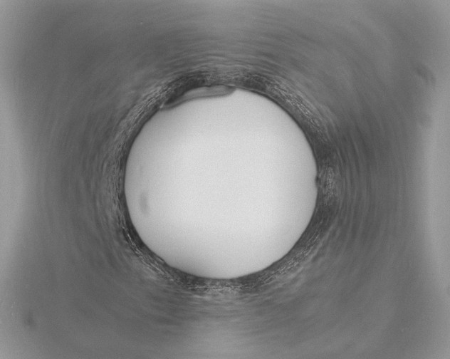 X0000115841153200912041702