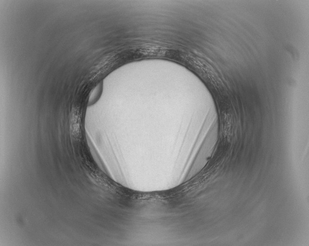 X0000115841154200912041702