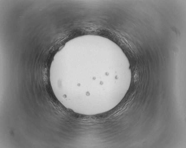 X0000115841156200912041702