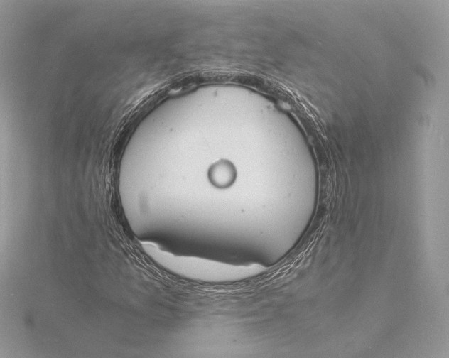 X0000115841157200912041702