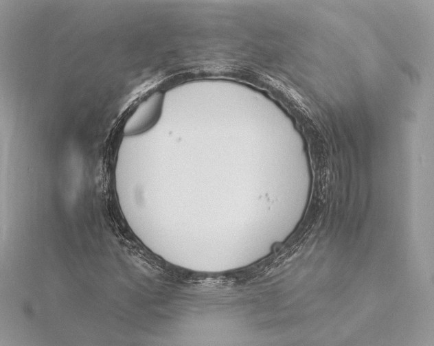 X0000115841160200912041702