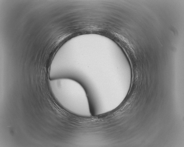 X0000115841161200912041702