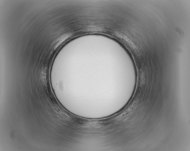 X0000115841162200912041702