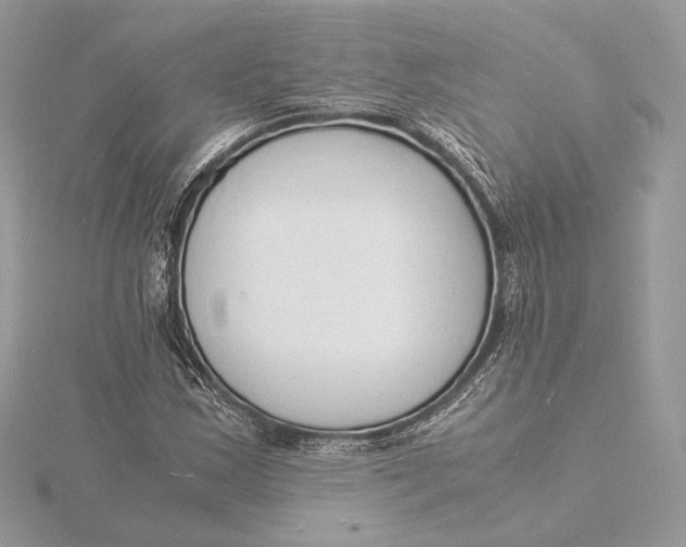 X0000115841163200912041702