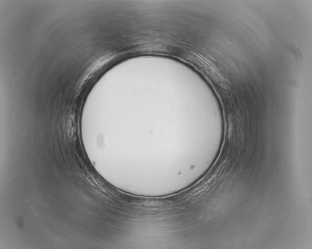 X0000115841164200912041702