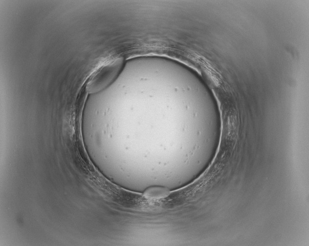 X0000115841165200912041702