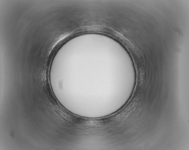 X0000115841166200912041702