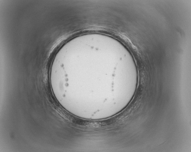 X0000115841167200912041702