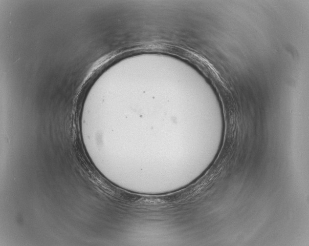 X0000115841168200912041702