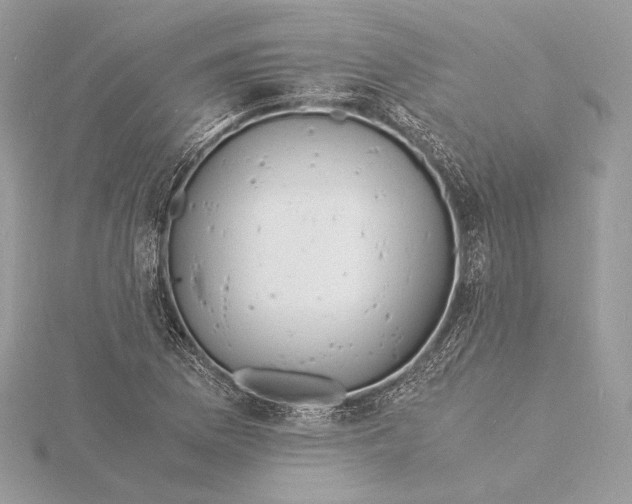 X0000115841169200912041702