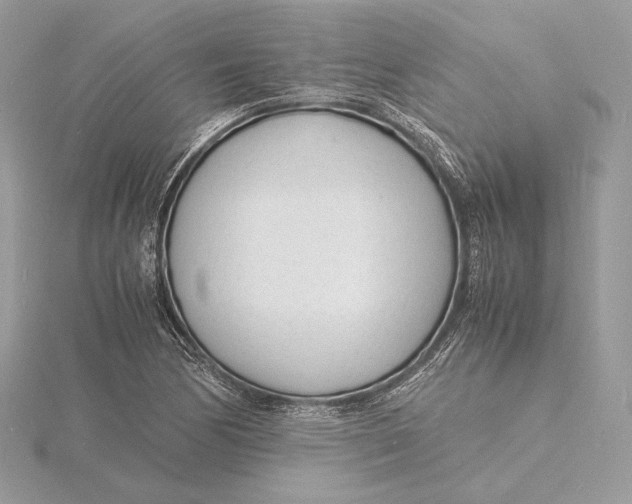 X0000115841170200912041702