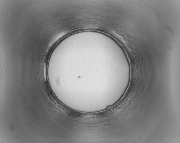 X0000115841171200912041702