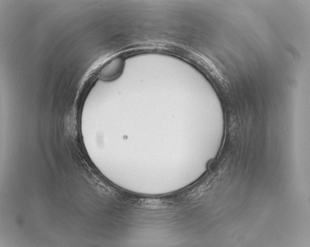 X0000115841172200912041702