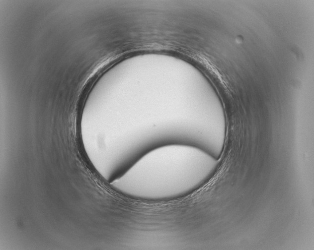 X0000115841173200912041702