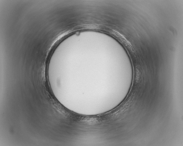 X0000115841174200912041702