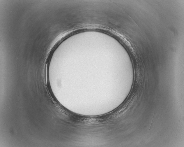 X0000115841175200912041702