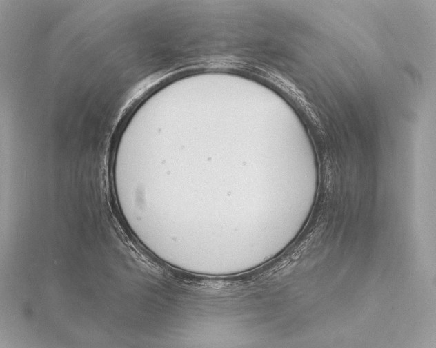 X0000115841176200912041702