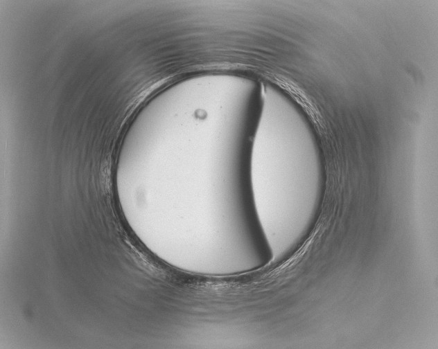 X0000115841177200912041702