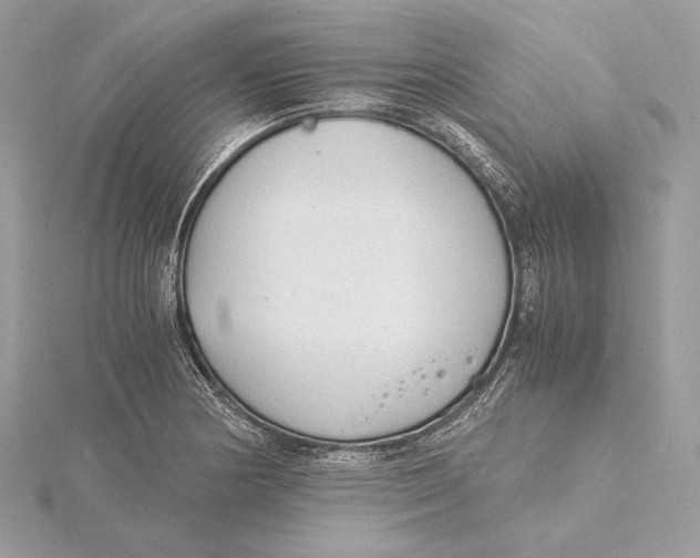 X0000115841178200912041702