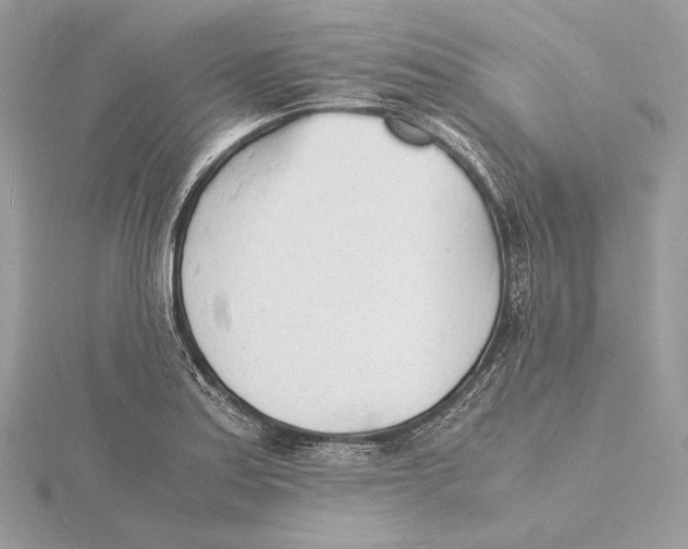 X0000115841179200912041702