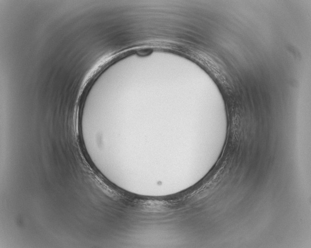 X0000115841180200912041702