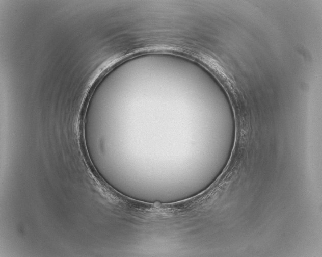 X0000115841181200912041702