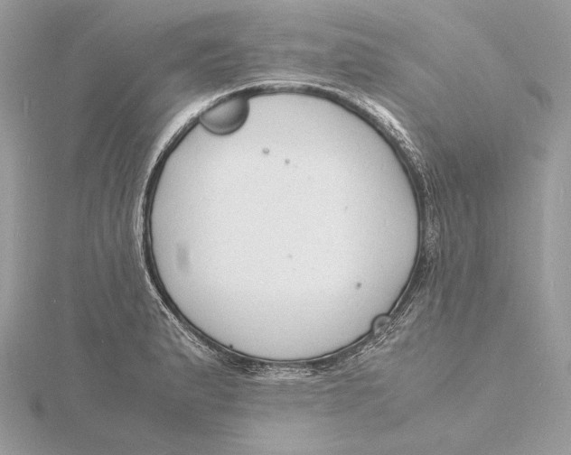 X0000115841183200912041702