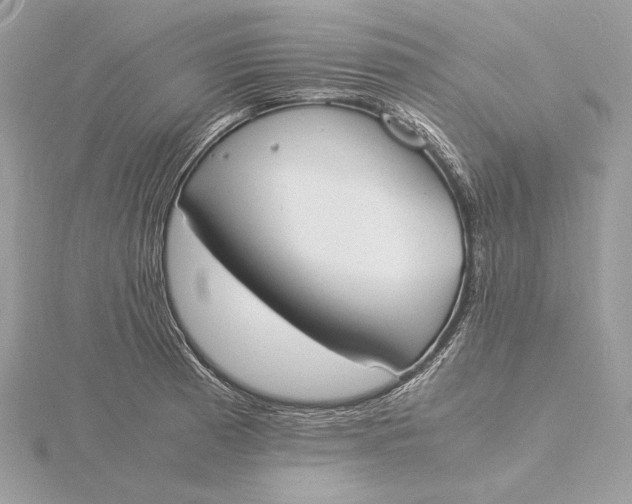 X0000115841185200912041702