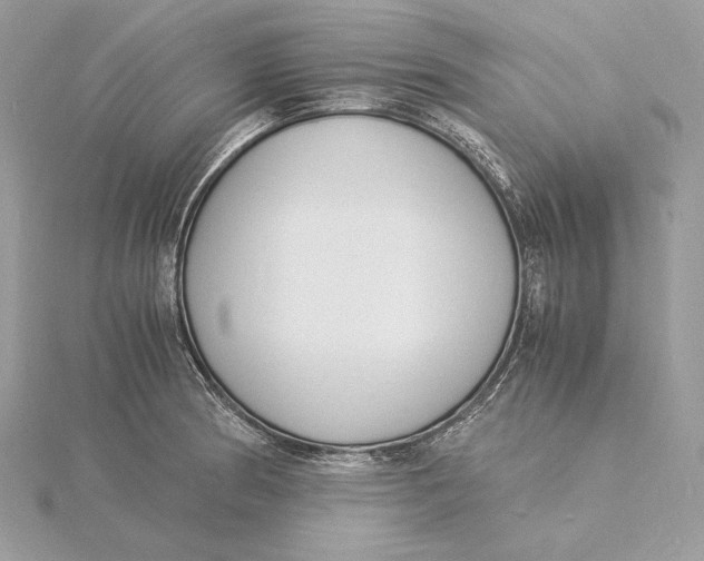 X0000115841186200912041702