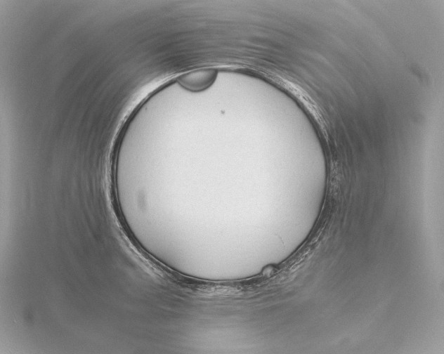 X0000115841187200912041702