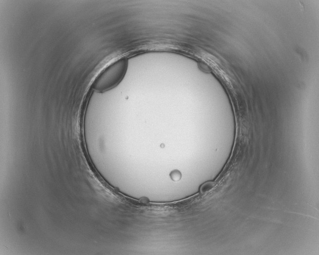 X0000115841189200912041702