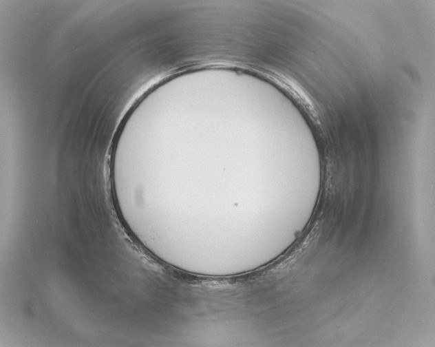 X0000115841190200912041702