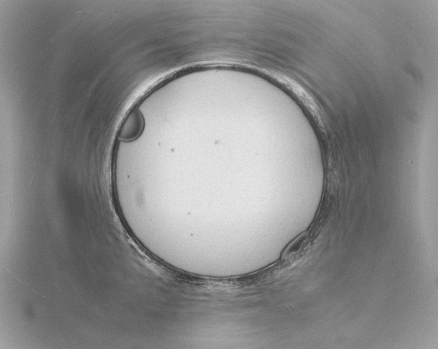 X0000115841191200912041702