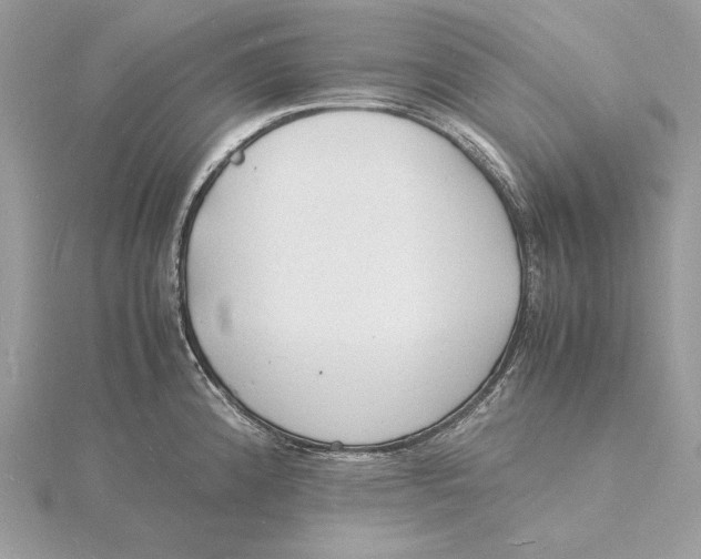 X0000115841192200912041702