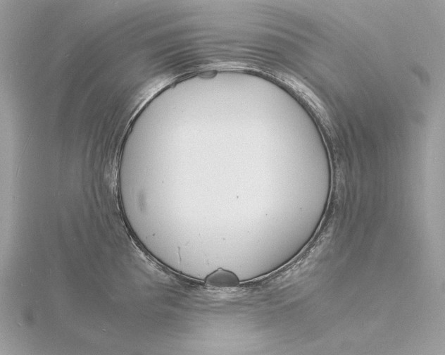 X0000115841193200912041702