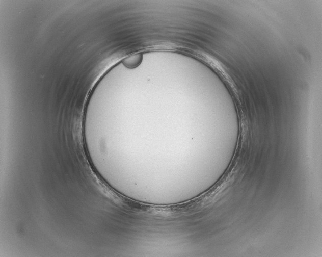 X0000115841194200912041702