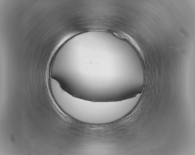 X0000115841195200912041702