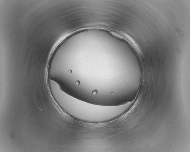 X0000115841196200912041702