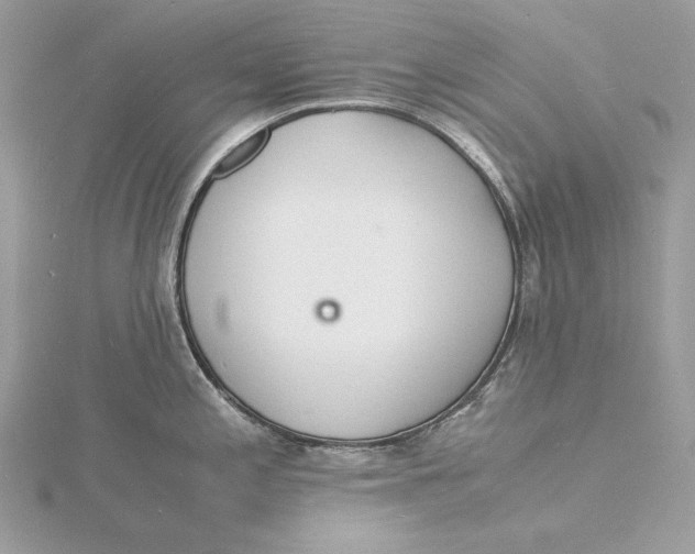 X0000115841197200912041702